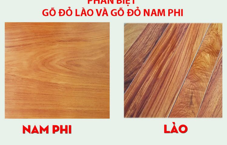 phân biệt gõ đỏ lào và nam phi