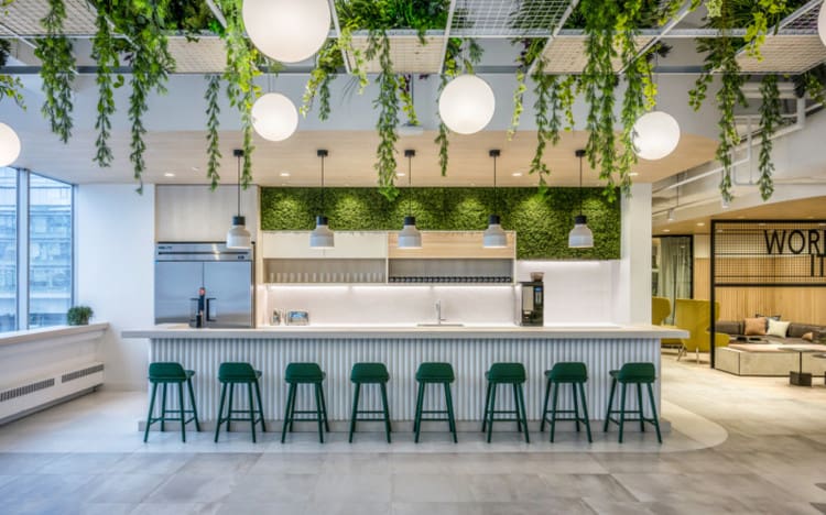 Thiết kế phòng đựng thức ăn văn phòng màu xanh lá cây