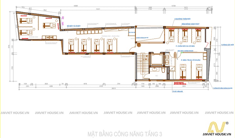 anviethouse thiết kế mặt bằng công năng dự án thẩm mỹ viện daysaki 84 cầu giấy