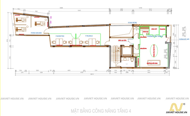 anviethouse thiết kế mặt bằng công năng dự án thẩm mỹ viện daysaki 84 cầu giấy