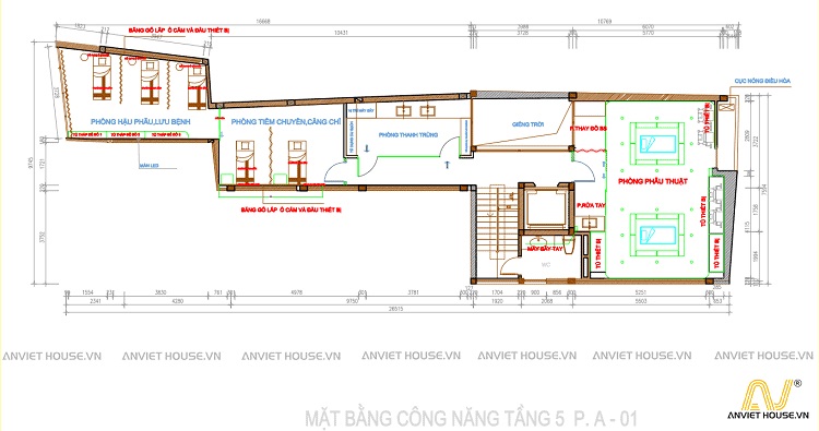 anviethouse thiết kế mặt bằng công năng dự án thẩm mỹ viện daysaki 84 cầu giấy