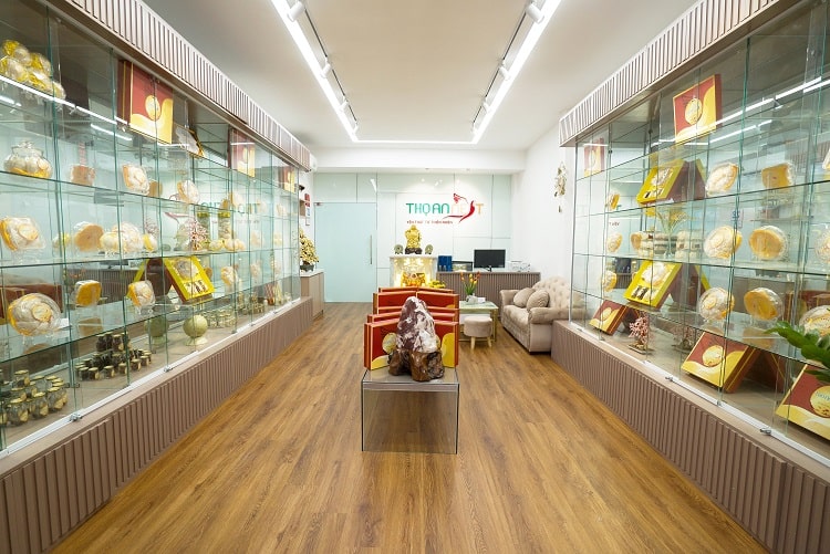 nội thất showroom yến