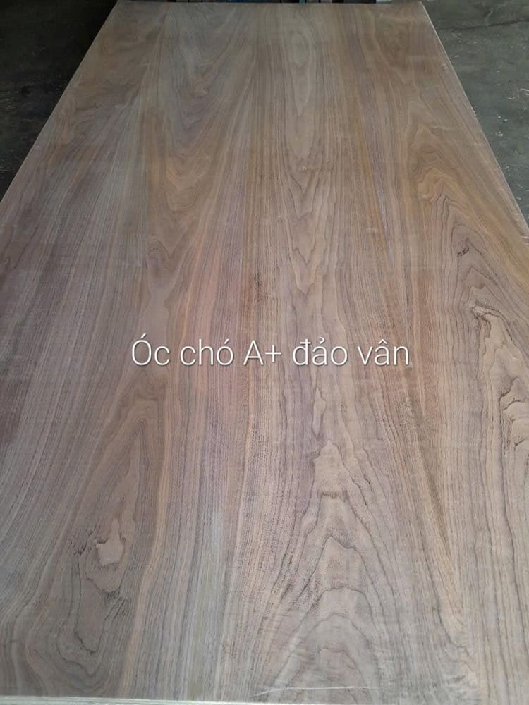 Veneer óc chó với vân rõ nét, nổi bật và bắt mắt